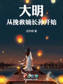 大明从继承天启遗产开始免费阅读